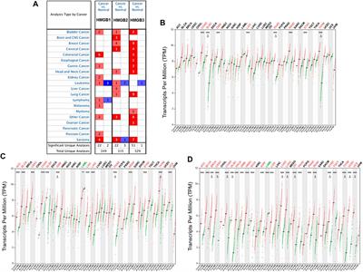 Roles of HMGBs in Prognosis and Immunotherapy: A Pan-Cancer Analysis